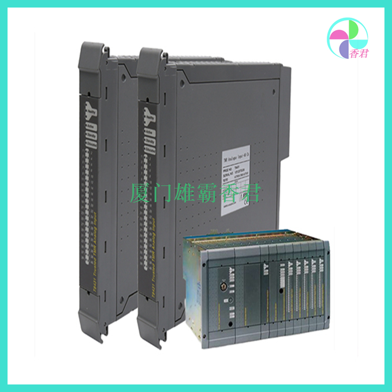 ICS TRIPLEX   T8448C   模块卡件 仓库有货