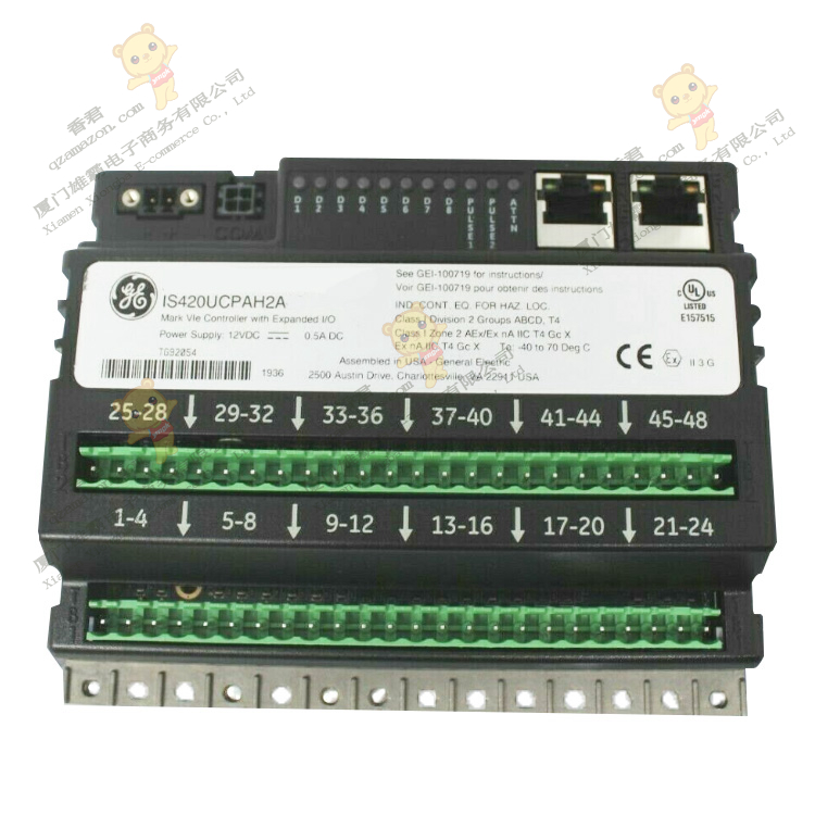 IS420UCPAH2A  GE  Mark VIe 和 Mark VIeS 控制系统扩展 I/O 板